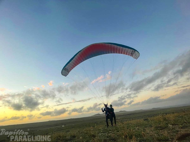 FLA50.22 papillon-paragliding-151