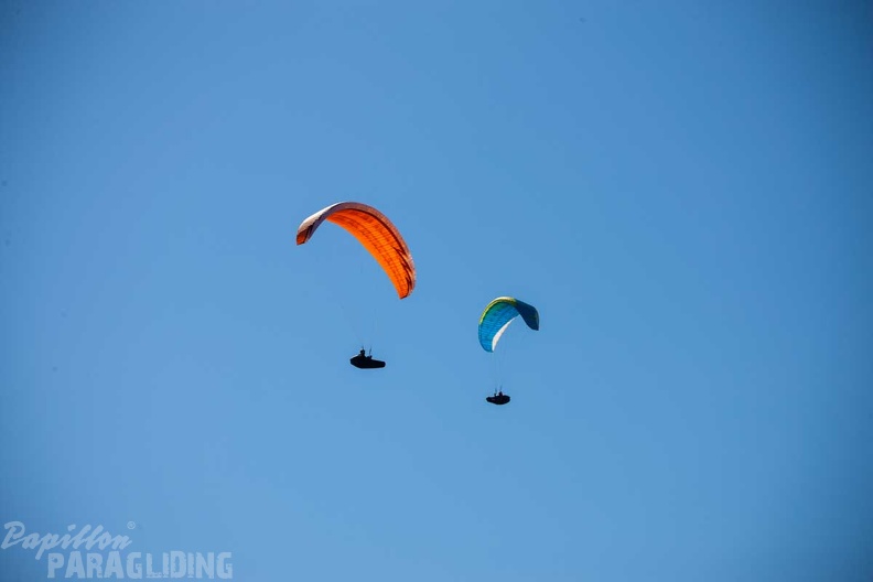 fgp8.23-griechenland-pindos-paragliding-papillon-151