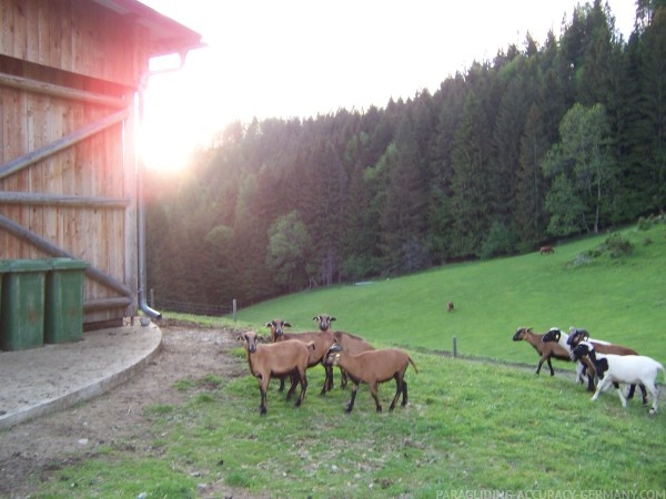 2006 Hessenmeisterschaft Greifenburg 074