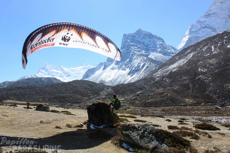 Papillon_Himalaya_Everest_AF-1054.jpg