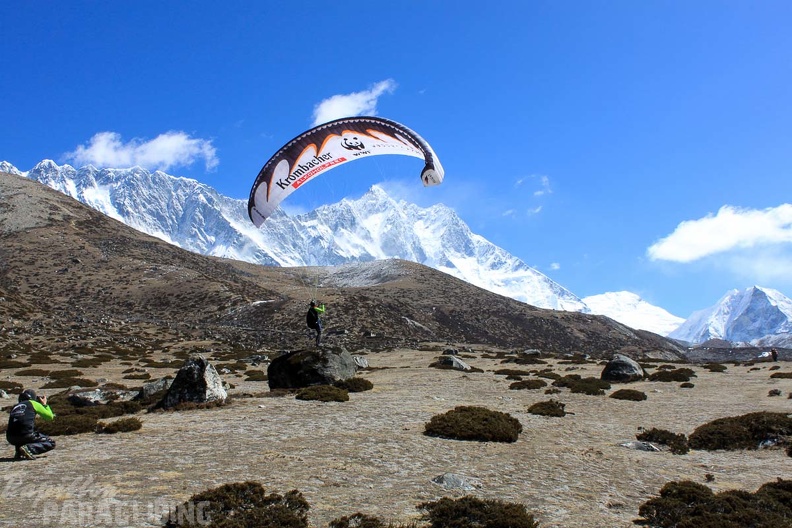 Papillon_Himalaya_Everest_AF-1144.jpg