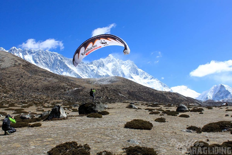 Papillon Himalaya Everest AF-1144