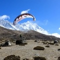 Papillon Himalaya Everest AF-1144