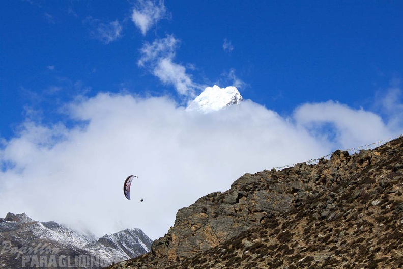 Papillon_Himalaya_Everest_AF-724.jpg