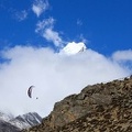 Papillon Himalaya Everest AF-724