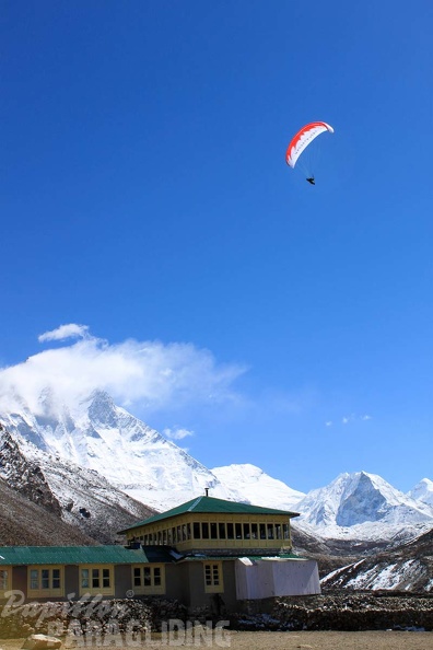 Papillon Himalaya Everest AF-734