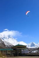 Papillon Himalaya Everest AF-734