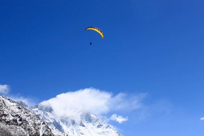 Papillon Himalaya Everest AF-749