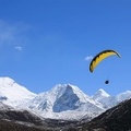 Papillon Himalaya Everest AF-757