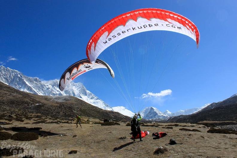 Papillon_Himalaya_Everest_AF-802.jpg