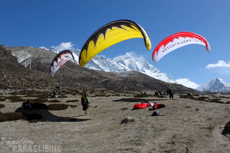Papillon_Himalaya_Everest_AF-813.jpg