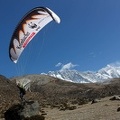 Papillon Himalaya Everest AF-946