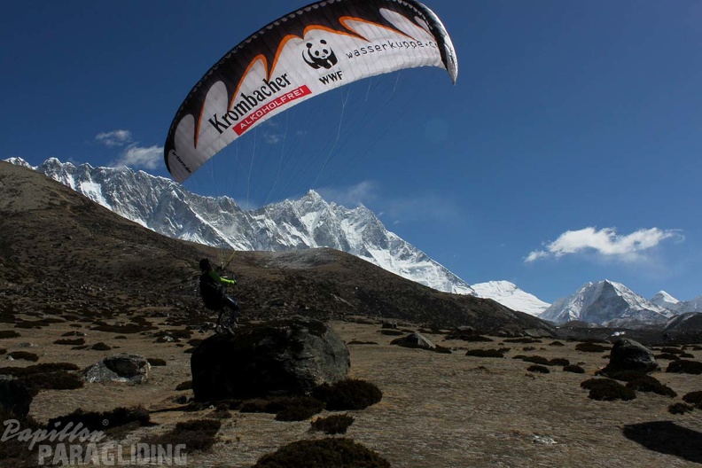 Papillon_Himalaya_Everest_AF-962.jpg