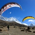 Papillon Himalaya Everest AF-982