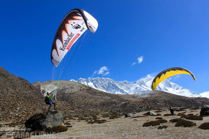 Papillon_Himalaya_Everest_AF-993.jpg