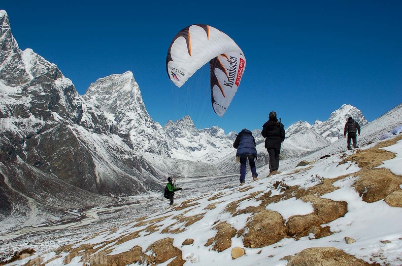 Papillon_Himalaya_Everest_AS-642.jpg