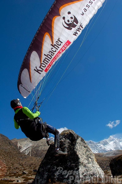 Papillon Himalaya Everest AS-792