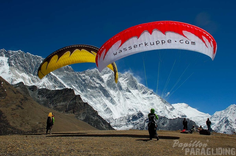 Papillon Himalaya Everest AS-947