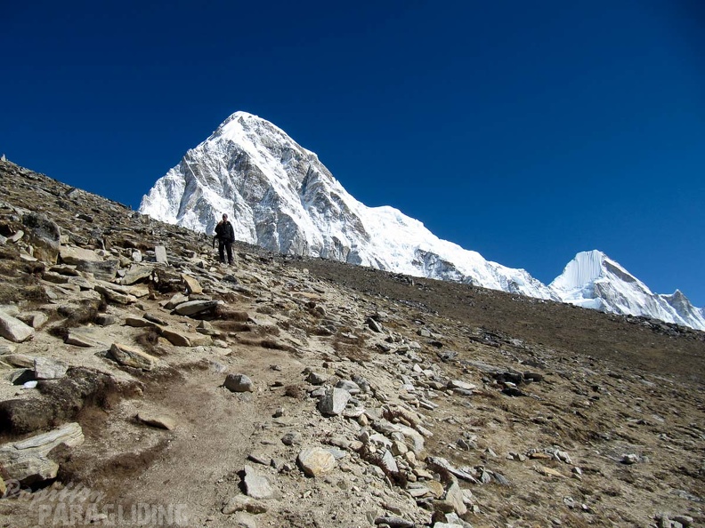 Papillon_Himalaya_Everest_JS-439.jpg