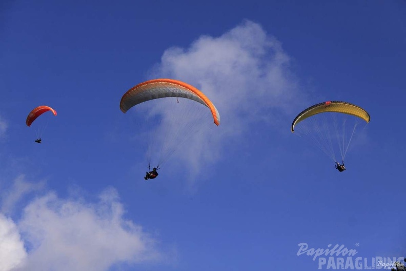 2012 PGAWC2012 Wasserkuppe 178