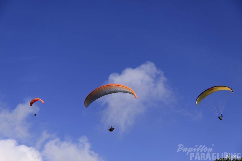 2012_PGAWC2012_Wasserkuppe_179.jpg