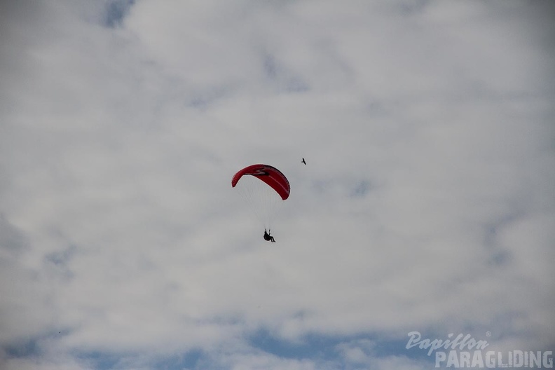 PGAWC 2015 Wasserkuppe-GER Saturday-1370