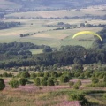 2010 Flora Wasserkuppe 011