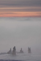 2010 Wasserkuppe Winter Inversion 052