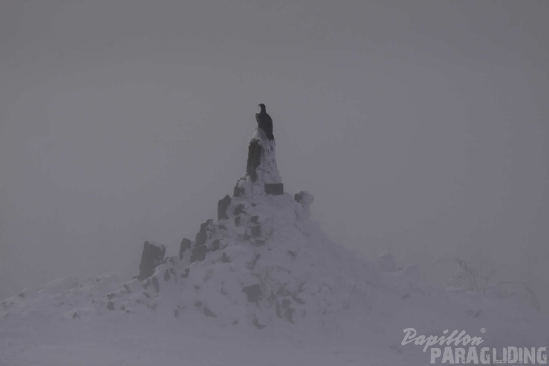 2010_Wasserkuppe_Winter_Inversion_054.jpg