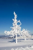 Wasserkuppe-Winter-2016-584