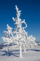 Wasserkuppe-Winter-2016-595