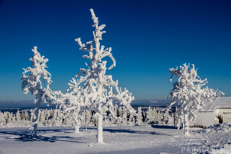 Wasserkuppe Winter WDD 4929