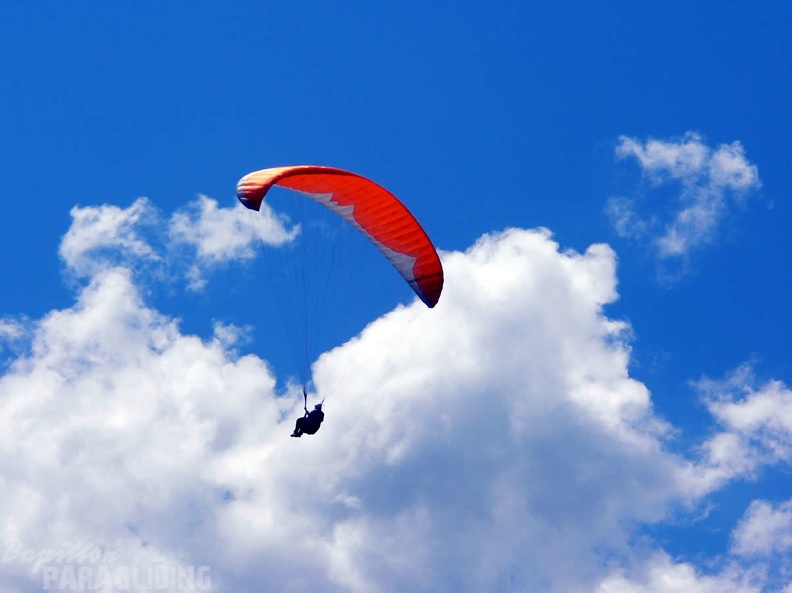 2005 D5.05 Paragliding 089