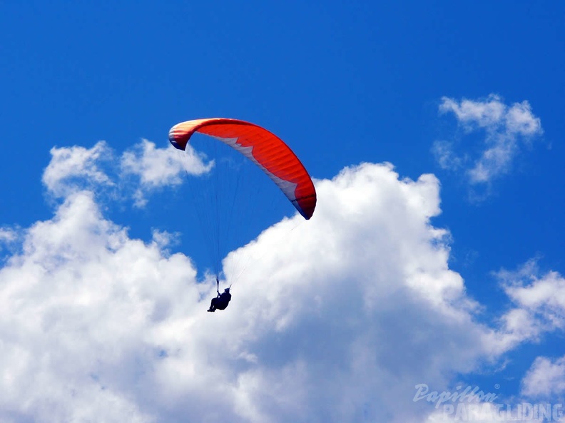 2005 D5.05 Paragliding 089