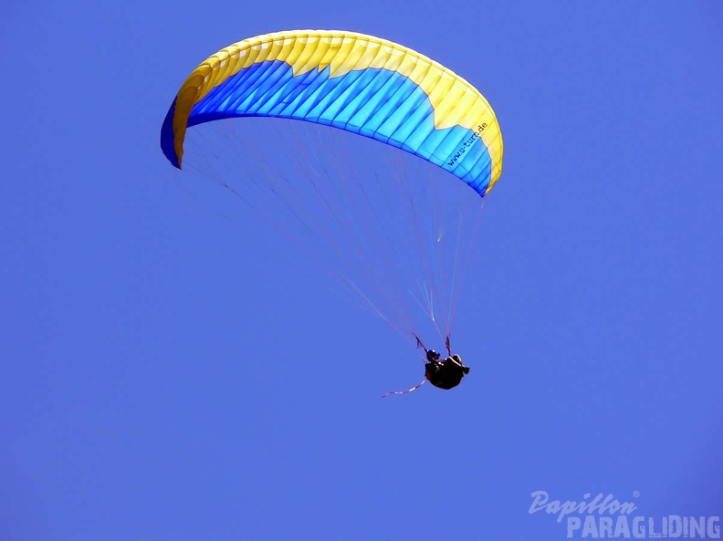 2005 D5.05 Paragliding 161