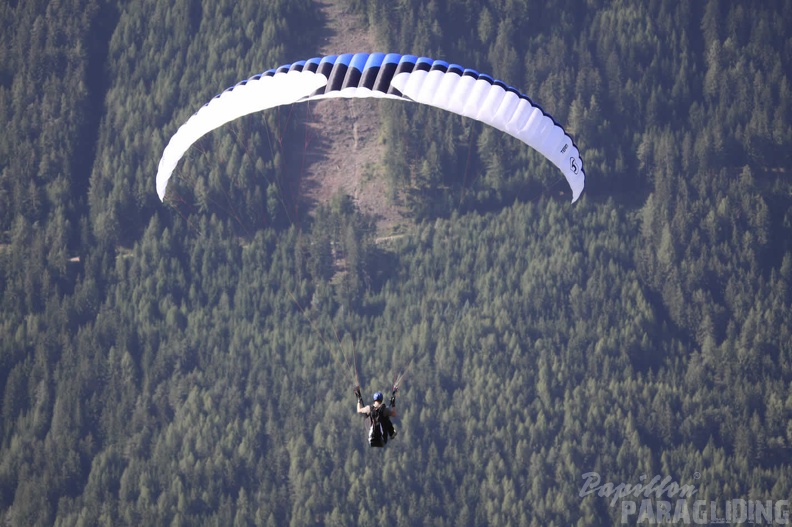 2009 DH23.09 Luesen Sommer 044