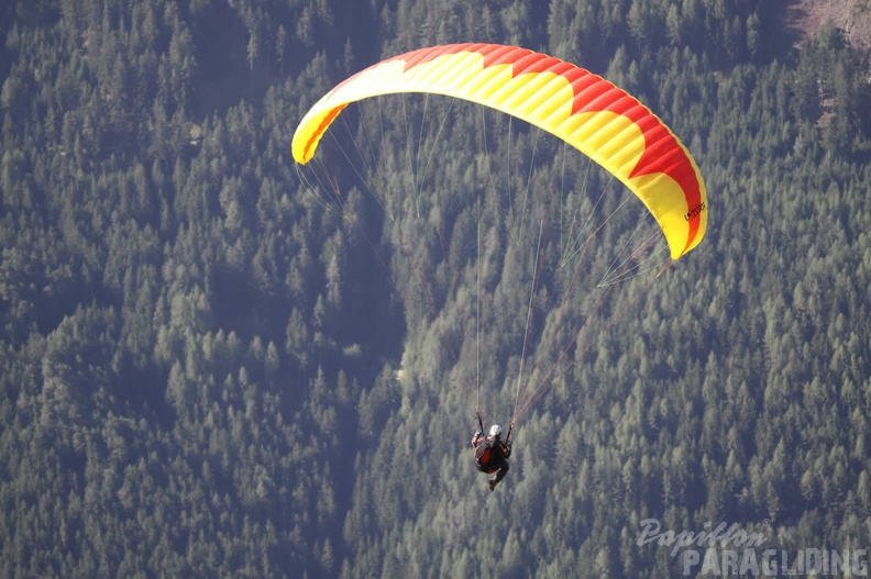 2009 DH23.09 Luesen Sommer 045