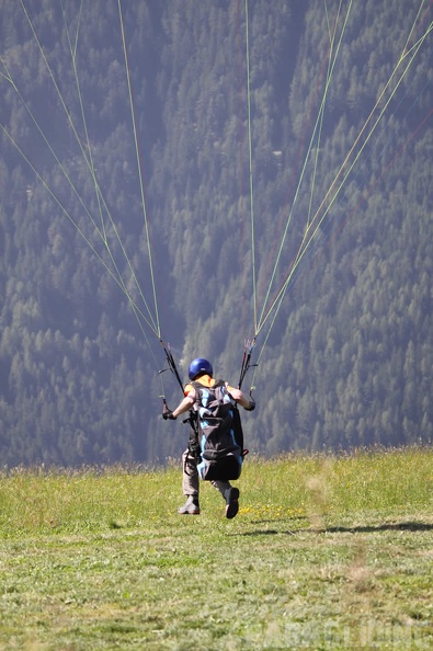 2009 DH23.09 Luesen Sommer 077