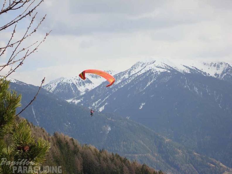 2011 DH13.11 Luesen Papillon 052