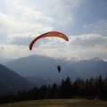 2011_DH13.11_Luesen_Papillon_053.jpg