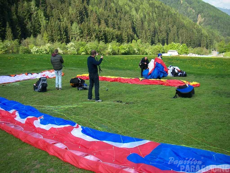 2011 DH17.11 Luesen Papillon 007