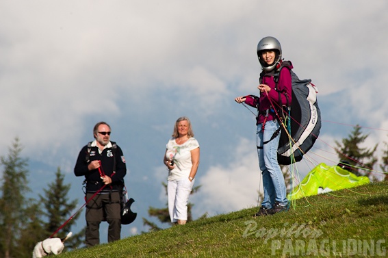 2011_DH31.11_Luesen_Papillon_018.jpg