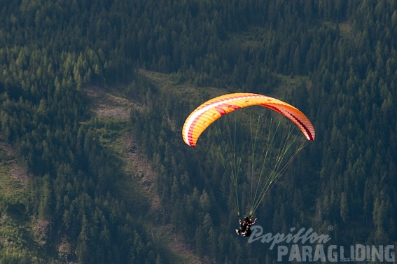 2011 DH31.11 Luesen Papillon 048