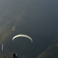 2011 DH31.11 Luesen Papillon 075