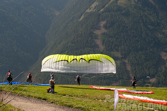 2011 DH31.11 Luesen Papillon 081