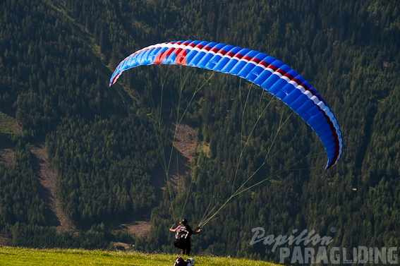 2011_DH31.11_Luesen_Papillon_098.jpg