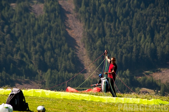 2011_DH31.11_Luesen_Papillon_115.jpg