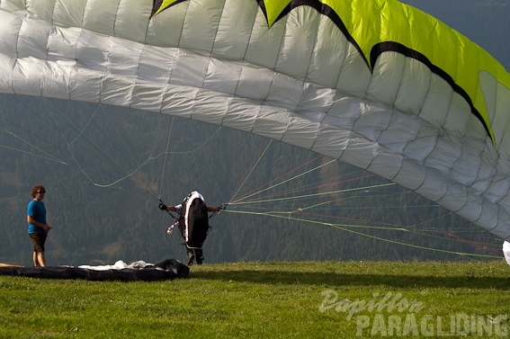 2011_DH31.11_Luesen_Papillon_150.jpg