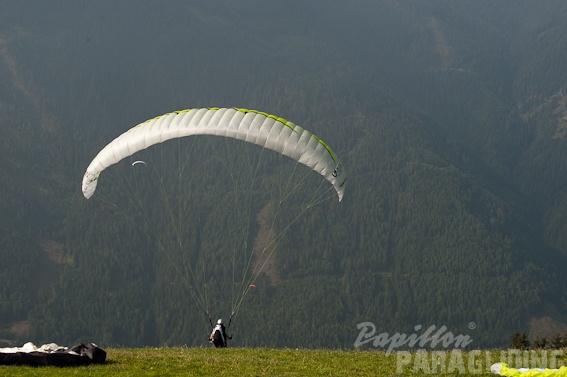 2011_DH31.11_Luesen_Papillon_151.jpg