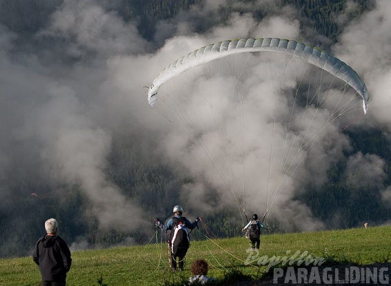 2011_DH31.11_Luesen_Papillon_193.jpg